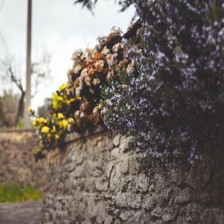 Agriturismo La Collina Toscana Pieve a Maiano Zewnętrze zdjęcie