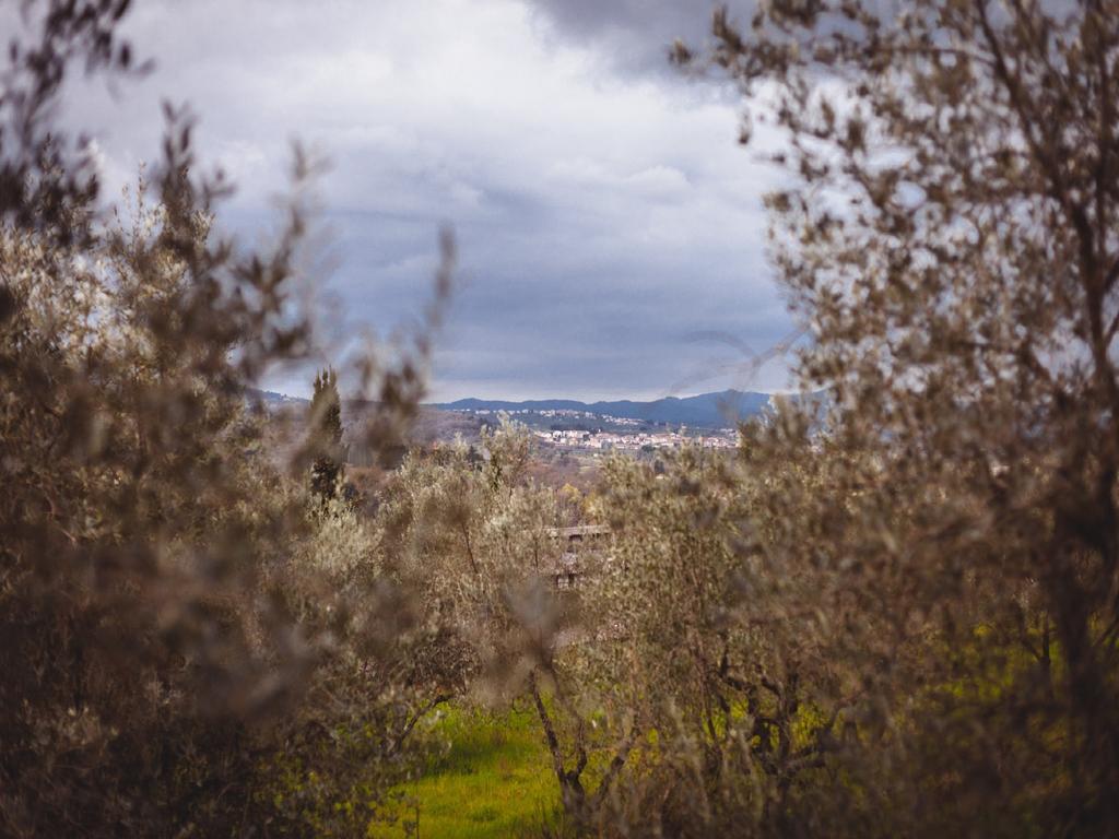 Agriturismo La Collina Toscana Pieve a Maiano Zewnętrze zdjęcie